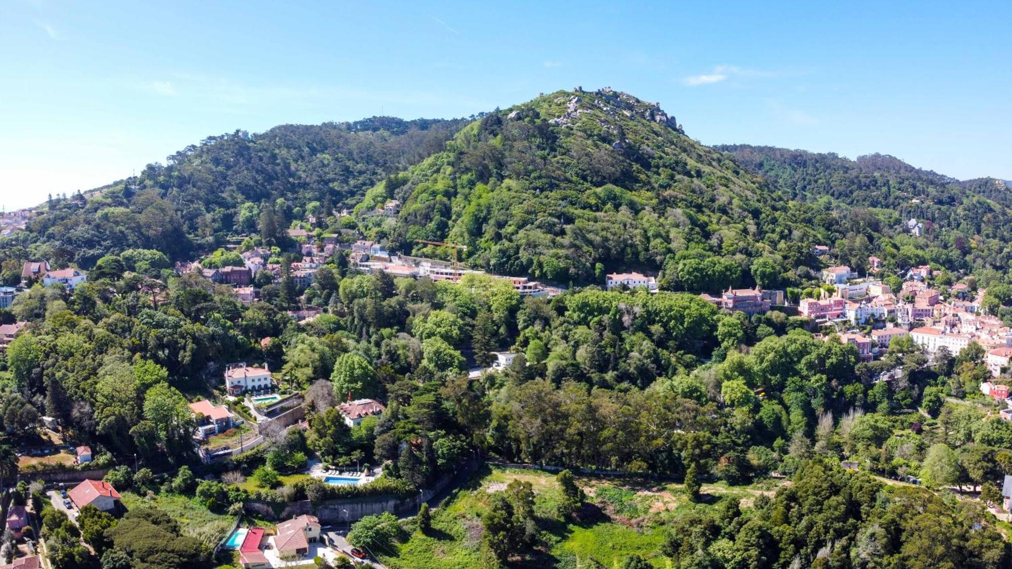 Luxurious Royal Estate In Historic Sintra Paradise Экстерьер фото